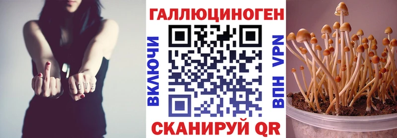 Галлюциногенные грибы MAGIC MUSHROOMS  Купить где  Байкальск 