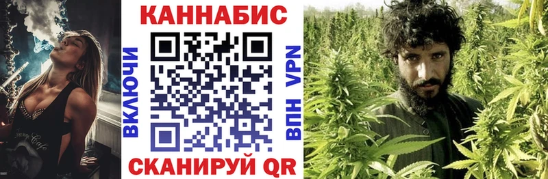 Купить Байкальск Канабис индика